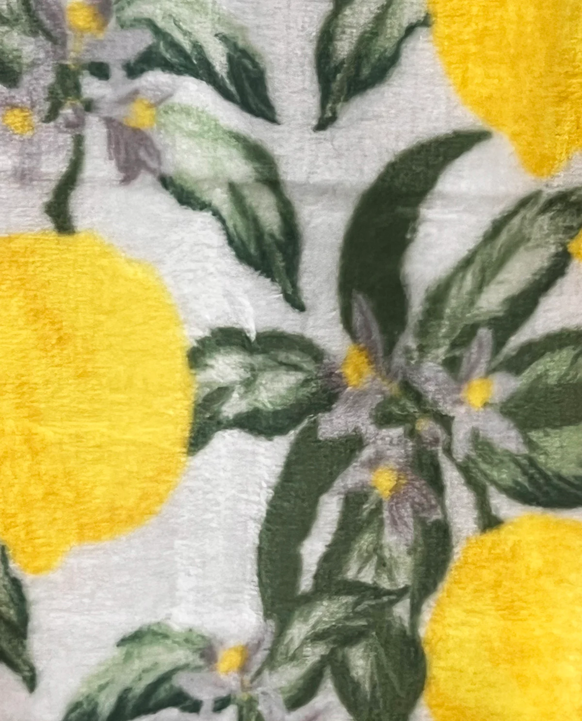 Novelty 23 Printed Throws- 12 Varieties - Image 18